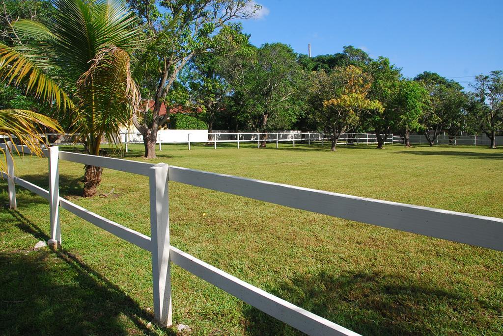 Holiday home La Finca