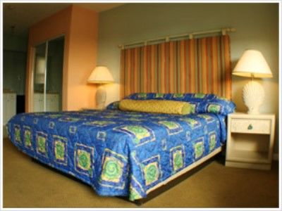 Hotel Selina Gold Dust 3*