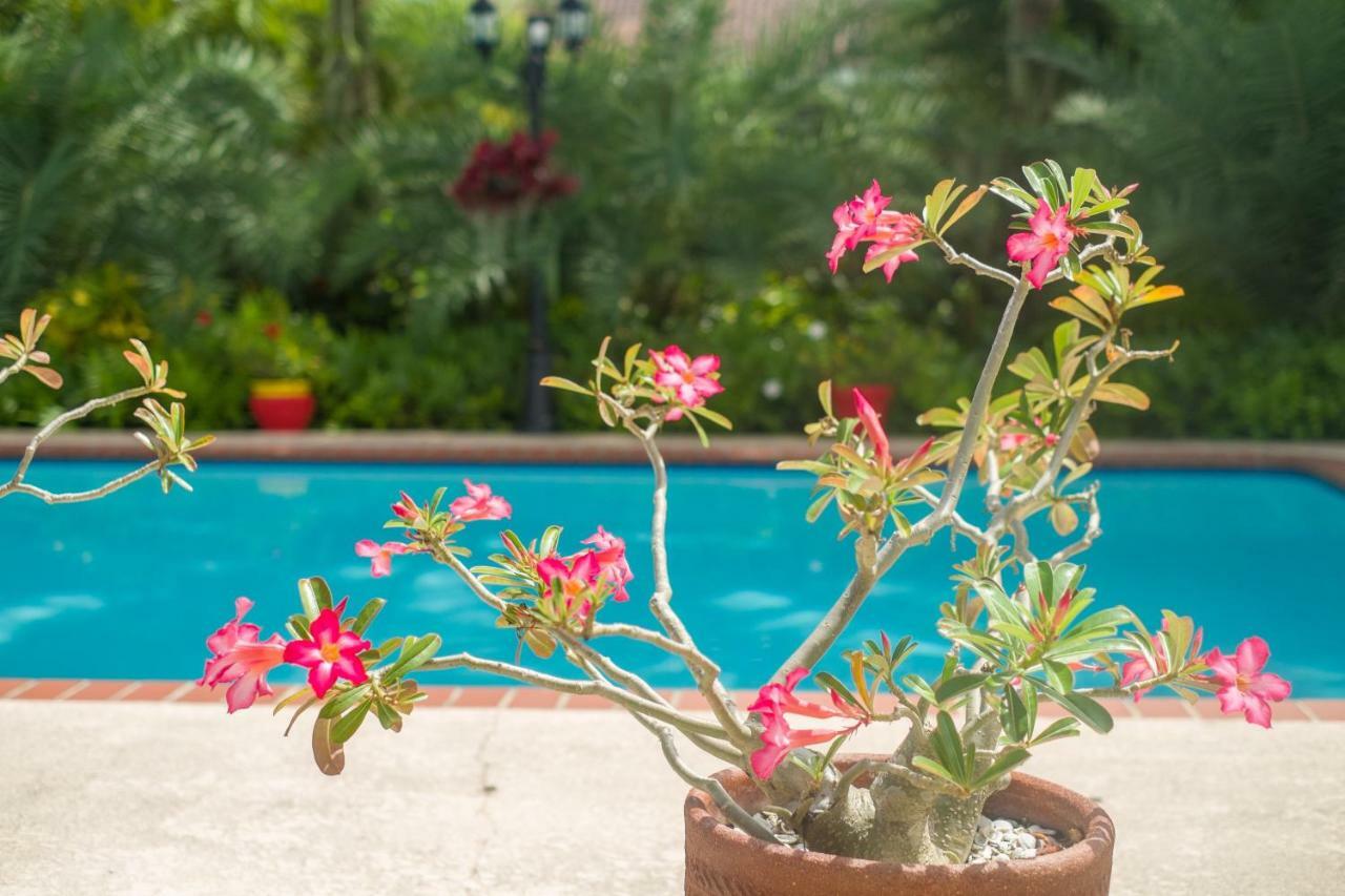 Yuli's Accommodatie bij particulieren Miami