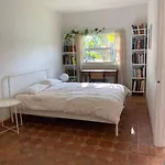 Miami Guest House With Large Pool
