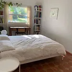 Miami Guest House With Large Pool