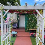 Summer Gardens Wynwood Concept