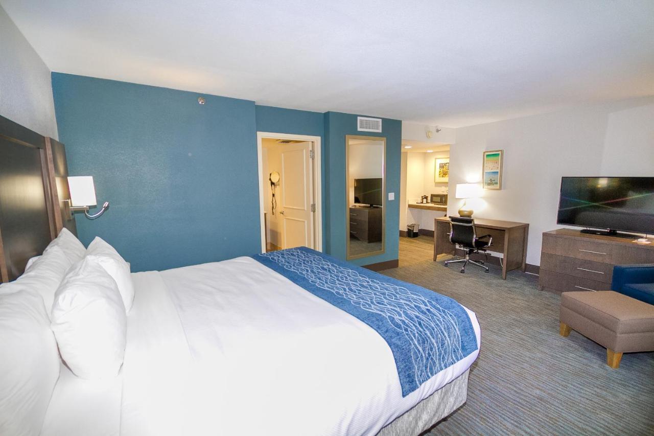 Comfort & Downtown Brickell-port Of Miami