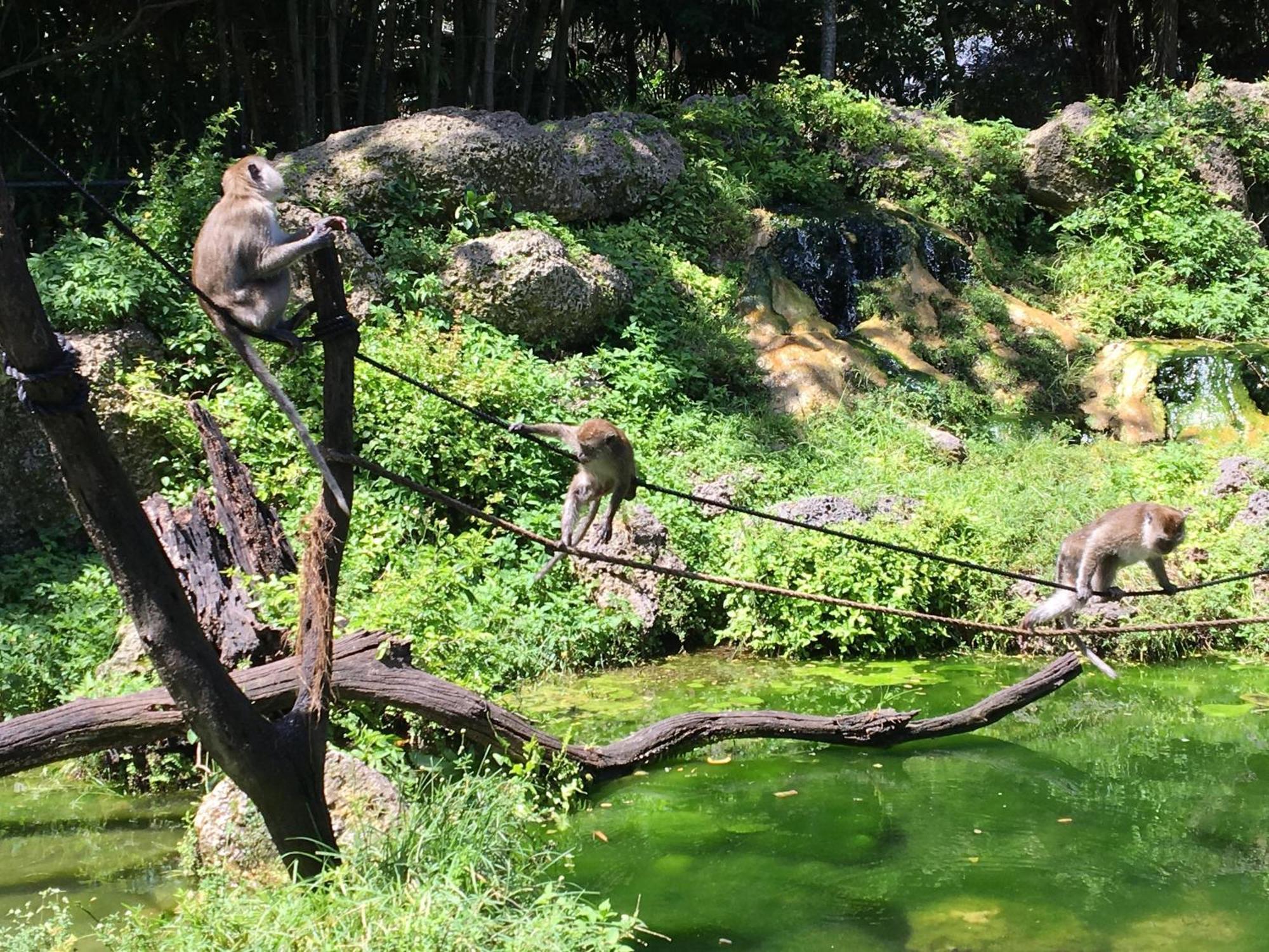 Magical Wonderkoi House In A Japanese Koi Garden Ferienhaus