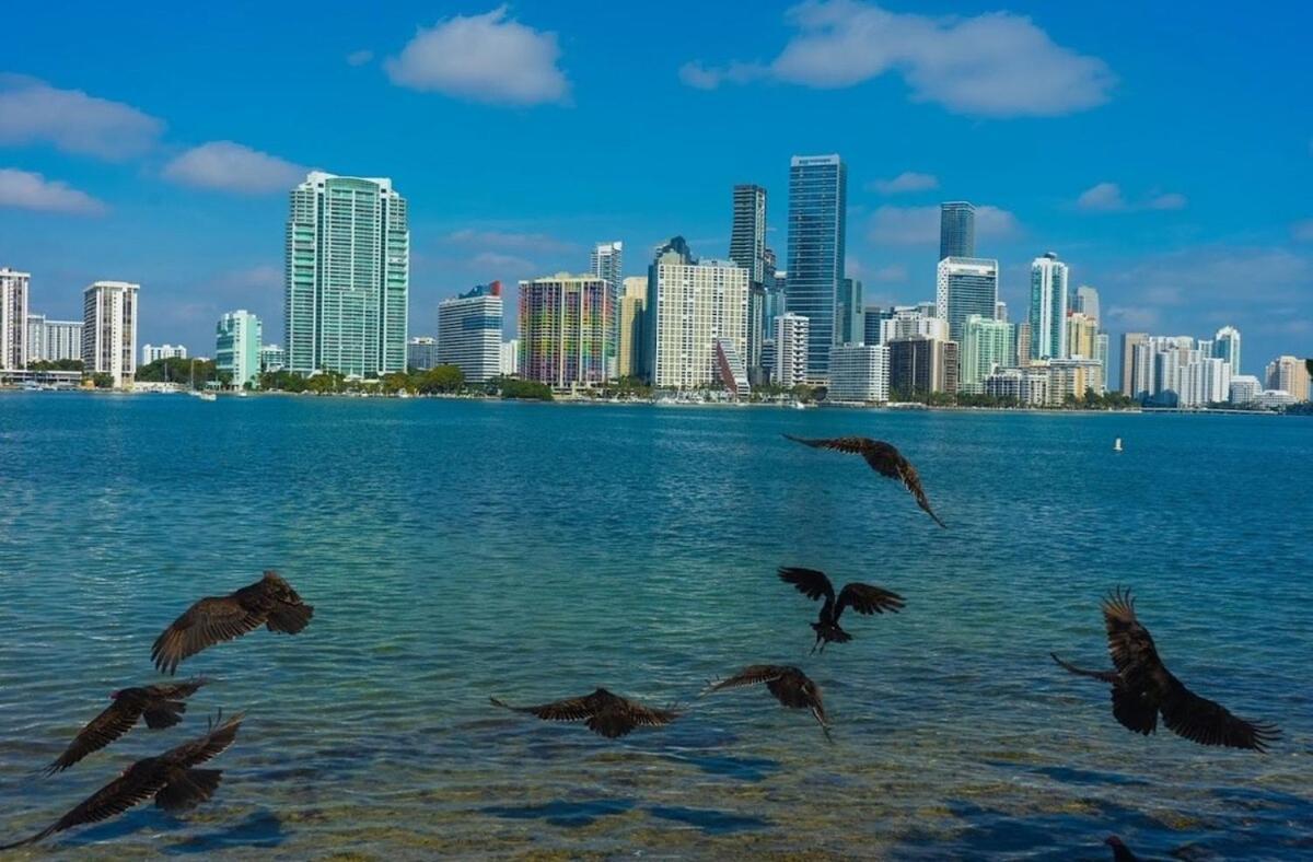 Oasis By Brickell And Beaches