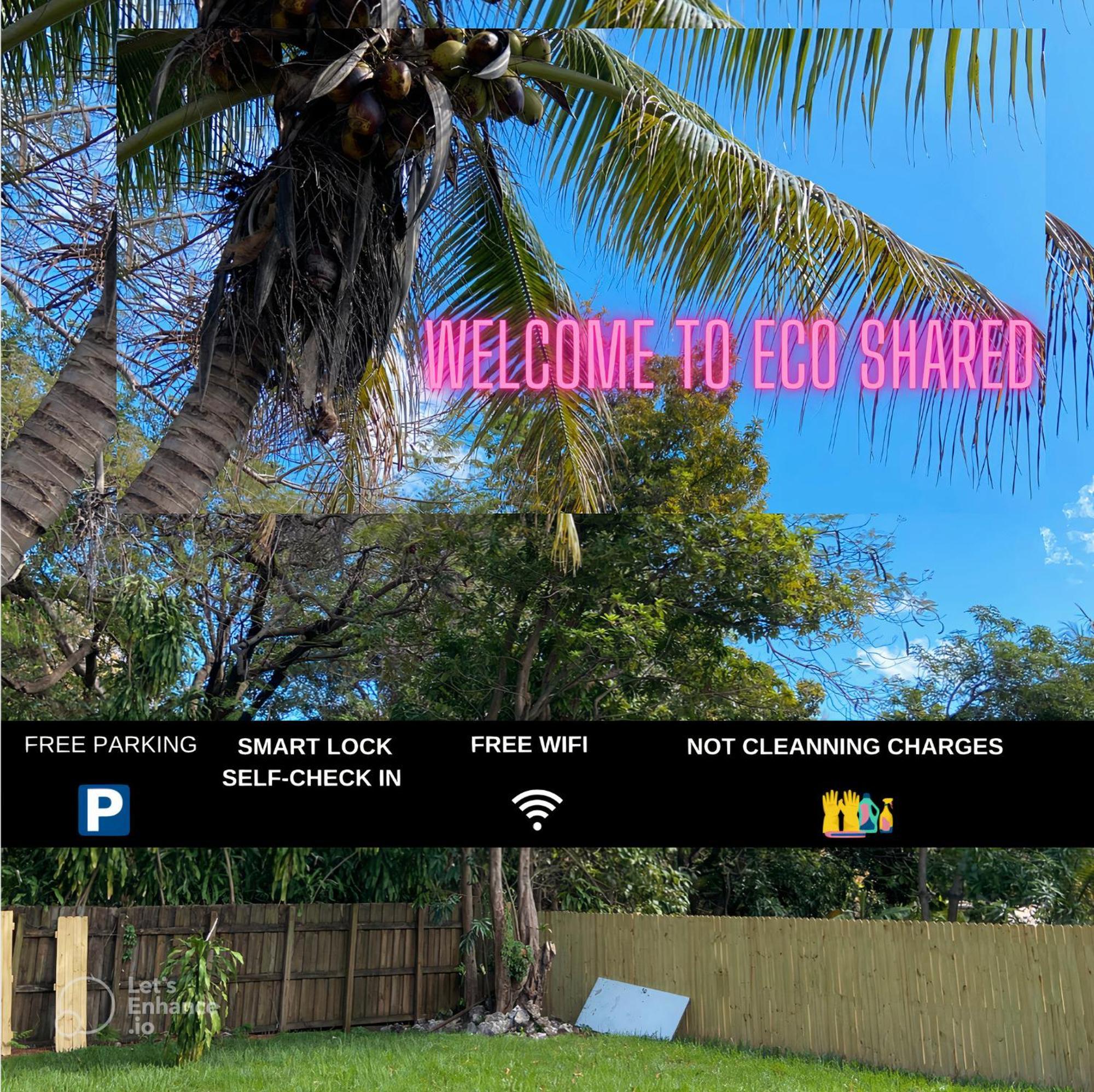 Parnasus Wynwood Hostel Miami