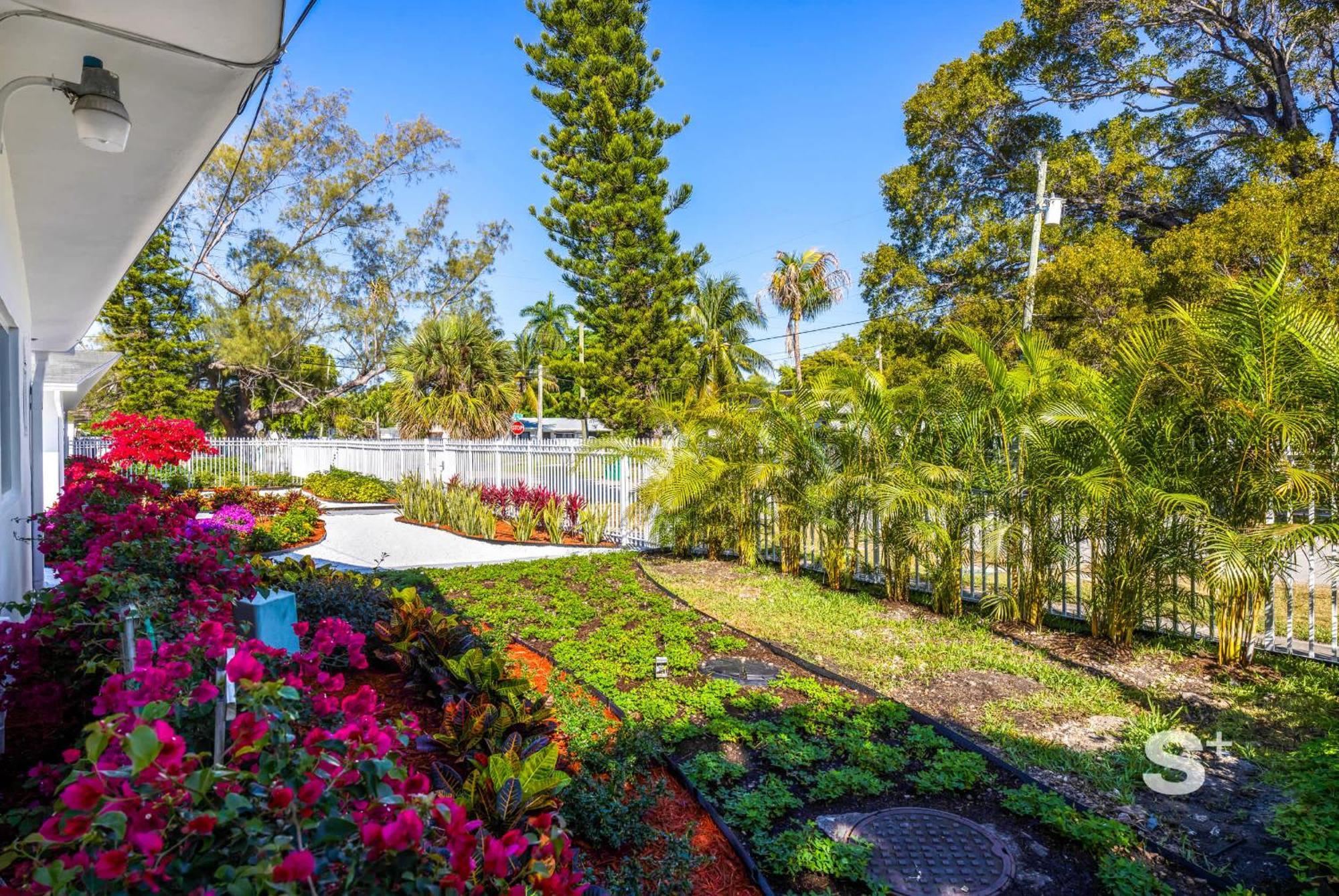Modern 1-br In Miami