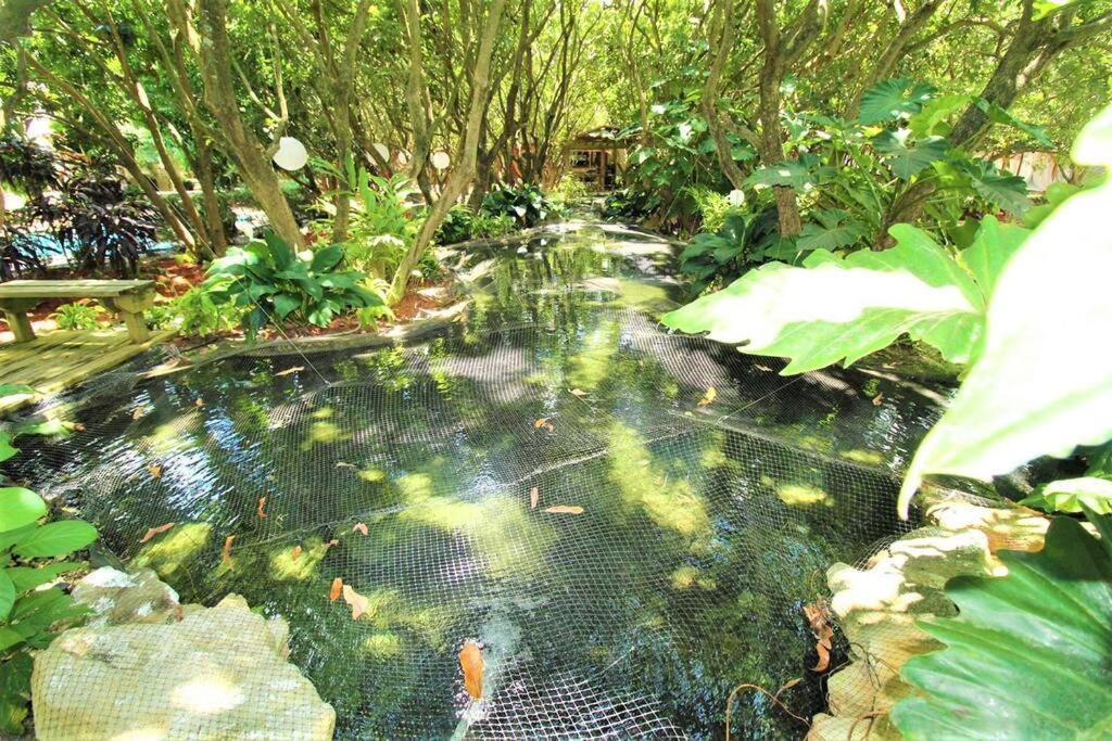 Magical Wonderkoi House In A Japanese Koi Garden Ferienhaus Miami