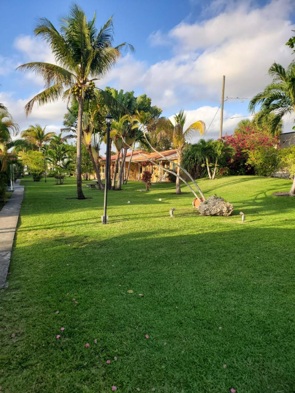 Sunnyside 2* Miami