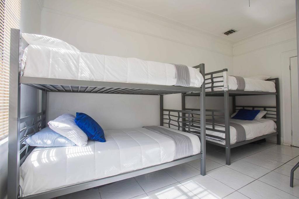 The Color House Hostel Miami