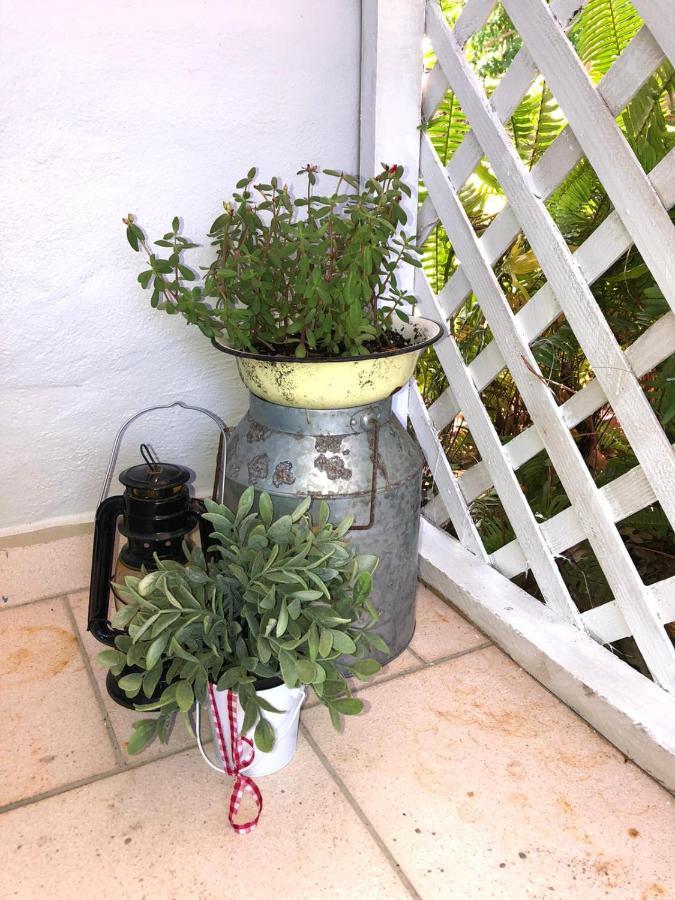 V - Independent In Little Havana Appartement *