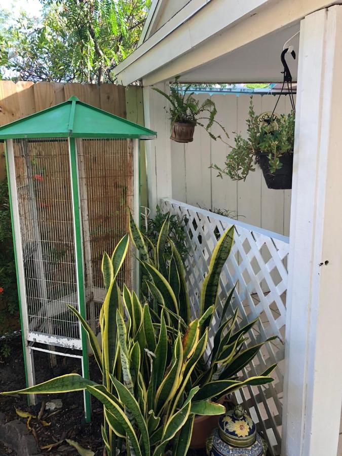 Appartement V - Independent In Little Havana