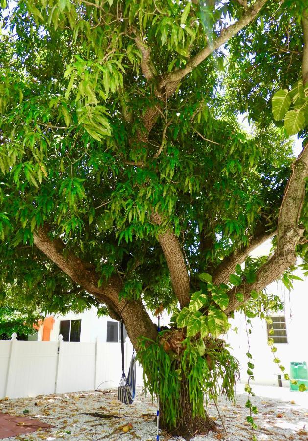 Beautiful Casita With King Bed And Private Patio Close To Calle 8, Mia Airport, Coral Gables Vakantiehuis Miami