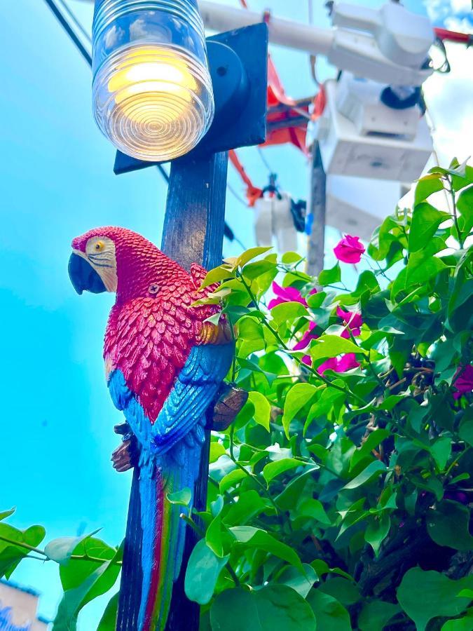 Centrica Calle 8 Homestay Miami