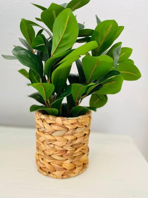 Coral Gables / Coconut Grove Area Free Parking Apartment