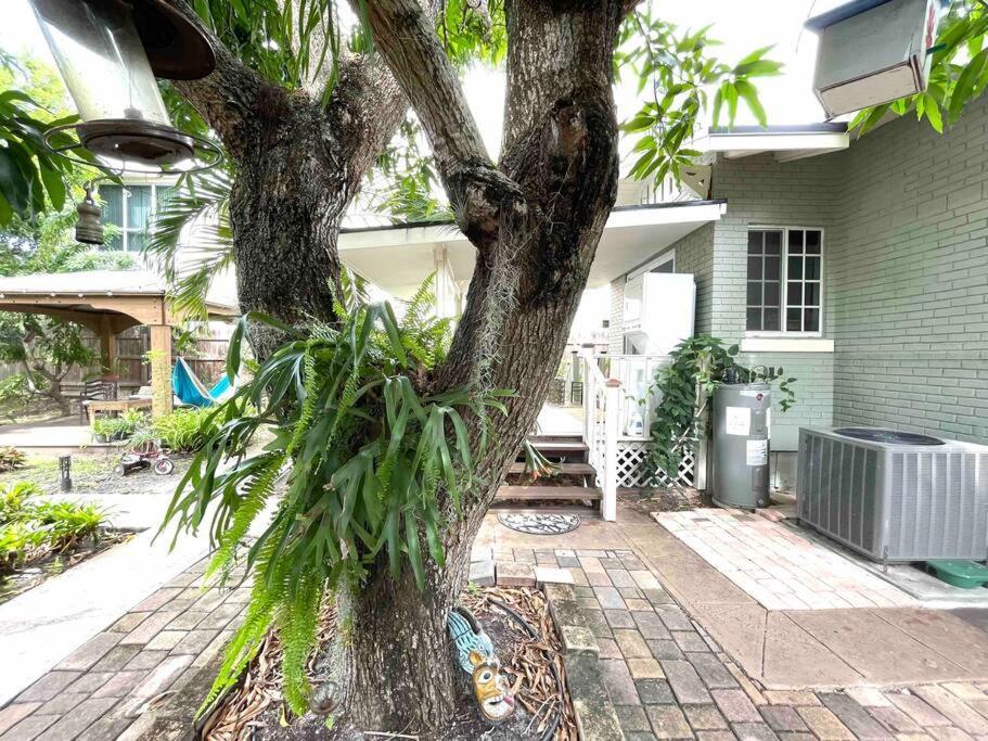Appartement V - Independent In Little Havana