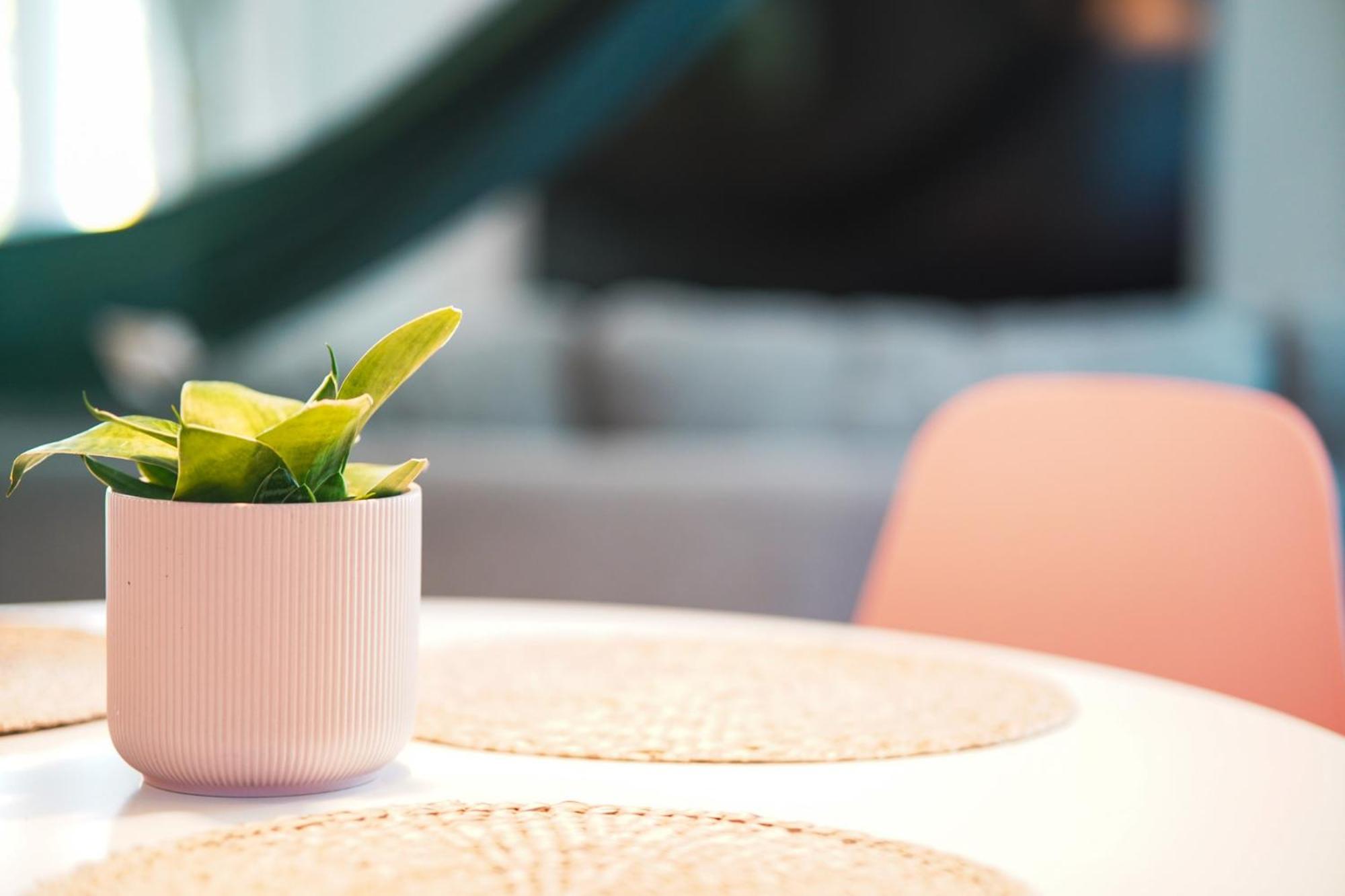 New Nordic Touch Loft, Location Vakantiehuis *